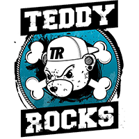 Teddy Rocks 2015 Logo